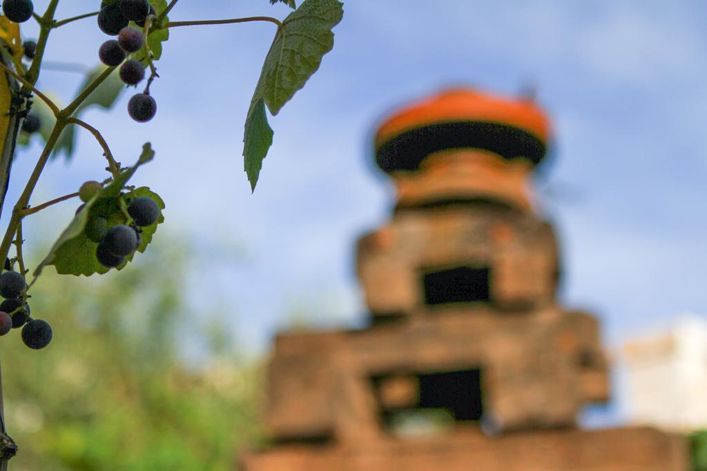 Corte Trullo Sovrano B&B 阿尔贝罗贝洛 外观 照片
