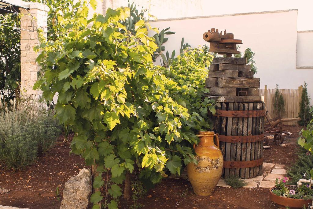 Corte Trullo Sovrano B&B 阿尔贝罗贝洛 外观 照片